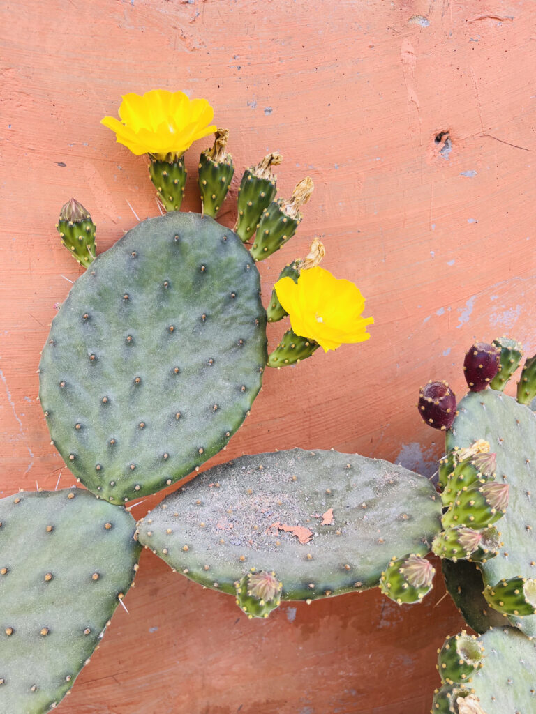 Breaking Through Growth Plateaus: Aligning Processes for Small Teams