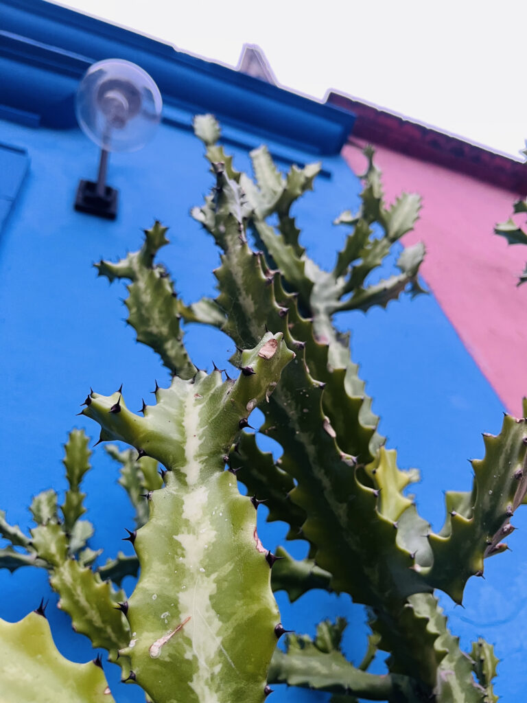 Crafting a Brand You’re Proud Of: Attracting Clients with Your Unique Message